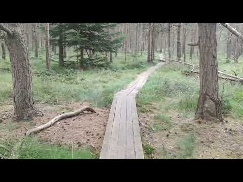 Ep. 6.3 Drumeție în Inima Bucovinei: Traseul 12 Apostoli și Tinovul Mic din Vatra Dornei