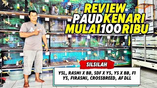 Download lagu PAUD KENARI Review‼️Starting from 100 thousand, abundant stock of various CROSSBREEDS... mp3