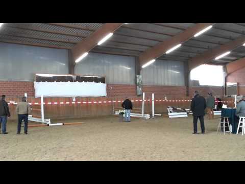 For Convenience Zuchtstutenprüfung