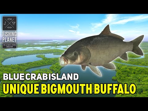 Unique Bigmouth Buffalo Blue Crab Island - Fishing Planet