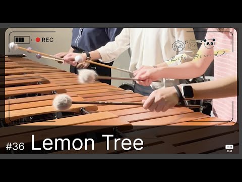 【Life Record#36】Lemon Tree