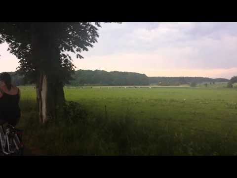 Weg nach Schloß Klink