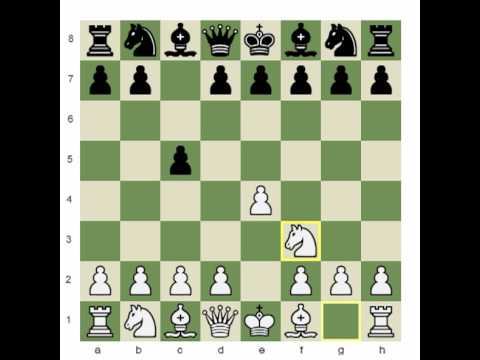 Chess.com: The Scheveningen Continued