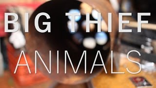 The Key Presents: Big Thief - Animals