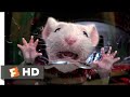 Stuart Little Stuck In The Washing Machine 4k