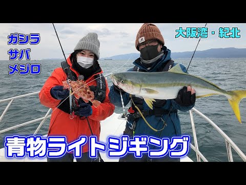 大阪湾・紀北　青物狙いのライトジギング（ガッ釣り関西#135/2022年3月5日放送）