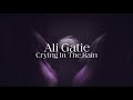 Videoklip Ali Gatie - Crying In The Rain (Lyric Video)  s textom piesne
