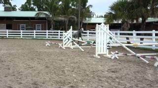 Desiree Free Jumping at Desert Rose Ranch