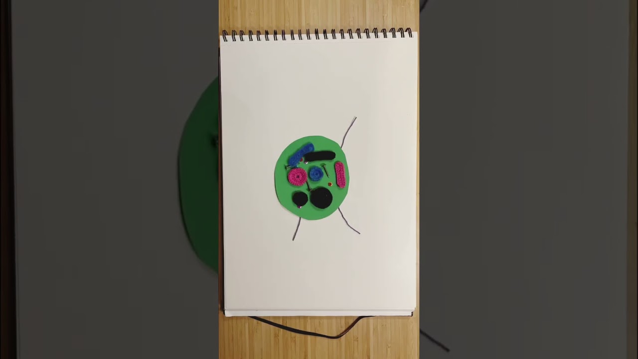 Mind map for creatives (stop motion animation)