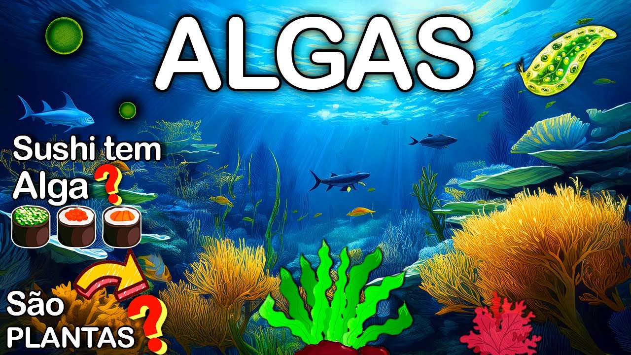 Algas: Plantas ou Não? O que elas têm a ver com Sushi?