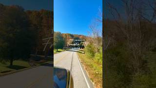 Fall in Franklin, TN is simply the best 🍁🙌🏼