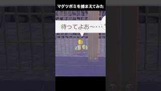 マダツボミを刑務所に収監してみた結果www【ぽこあポケモン】#shorts