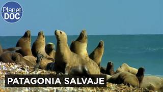 Thumbnail del capítulo