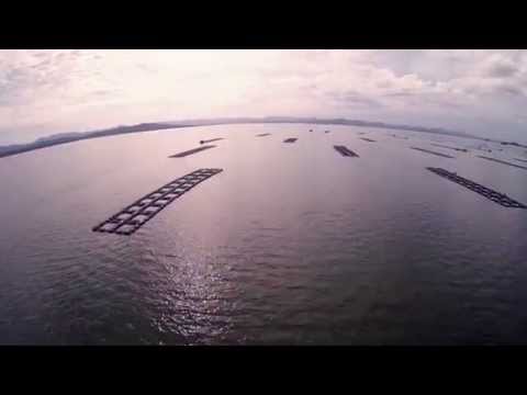 FPV Quadcopter - TBS Discovery - Huai Mai Teng - Krasiao - Thailand - Dragon Link