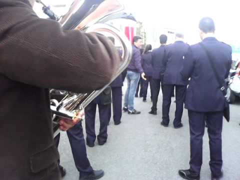 Spagnesina marcia caratteristica