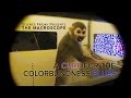 A Cure for The Colorblindness Blues