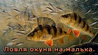 Ссылка