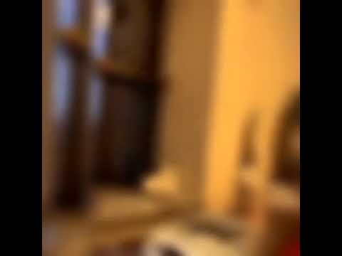 Cat thinking about his existence