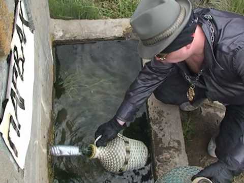 RAKIEVA 4E6MA Ivo Doctora Dobri VIlian