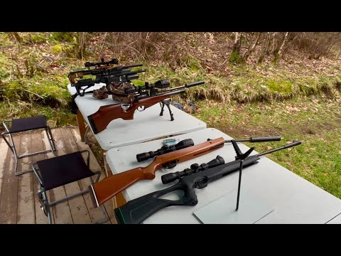 Which air rifle should I buy?  What to consider when buying a air rifle part 1