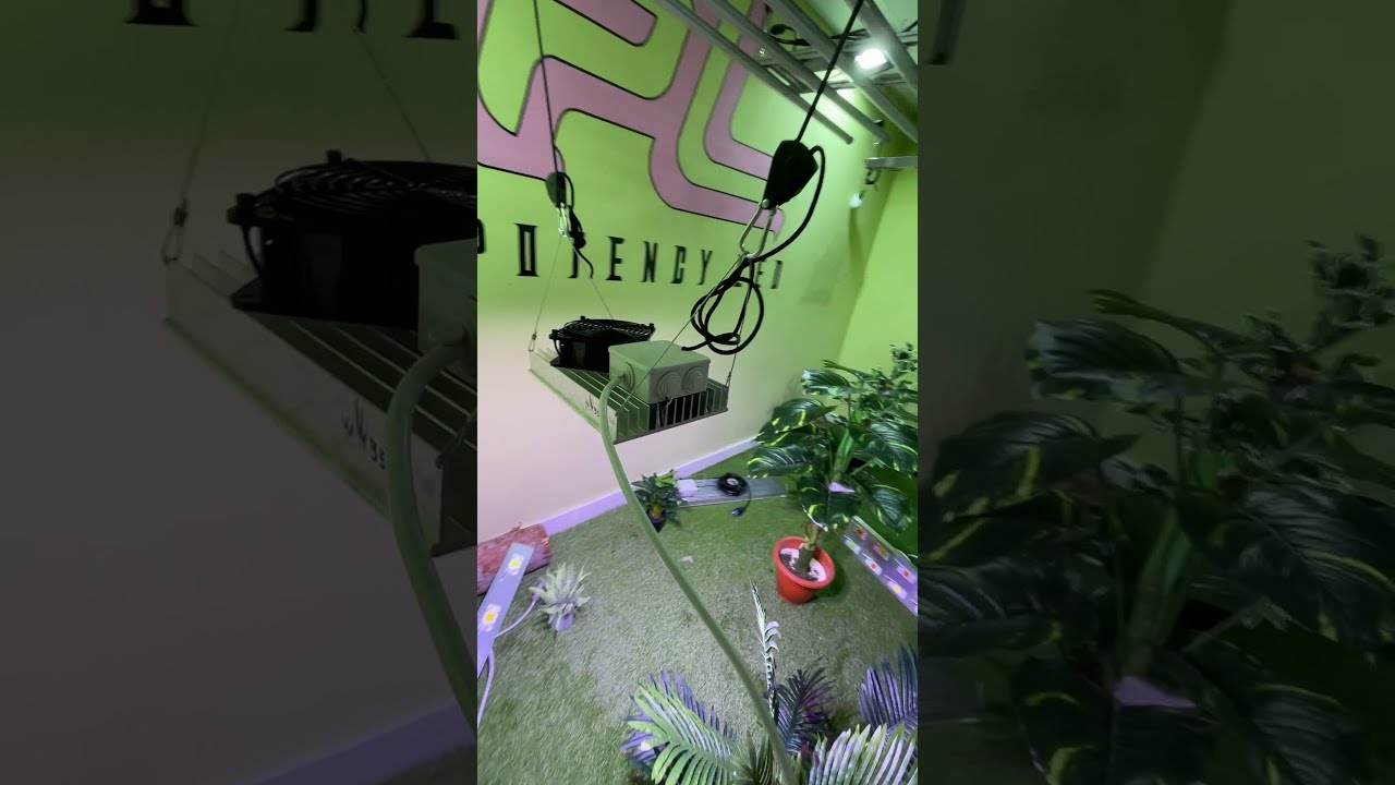 Origin 200w Potencyled