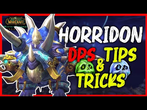 KetchupchipsTV and 2 more