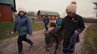 Northwestern Mutual Bradley CSA