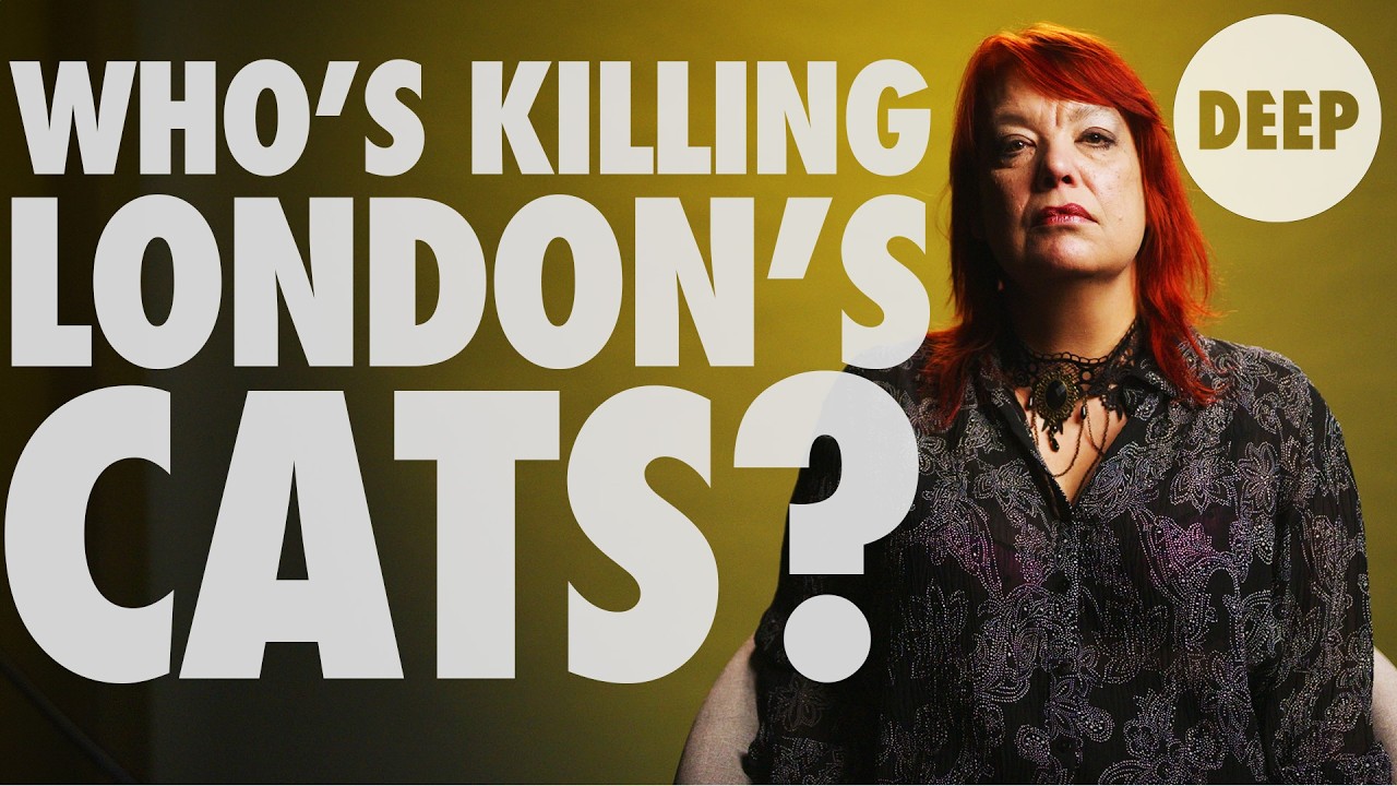 Hunting The London Cat Killer | DEEP