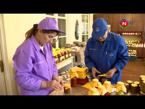 Ailə təsərrüfatları:Yarmarka - 24.11.2021