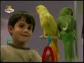 Kids And Pets Loros BabyTV