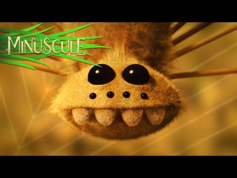 Minuscule – The butterfly effect / L’effet papillon (Season 2)