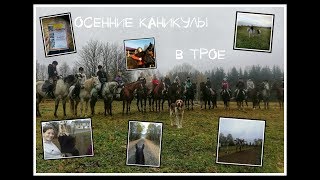 Осенние каникулы в