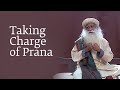 Taking Charge of Prana | Sadhguru | Shemaroo Spiritual Life