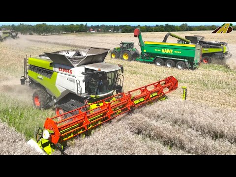 Rapsernte 2023 - 3 Mähdrescher, Traktor & LKW Landwirtschaft Gut Hohen Luckow German farming harvest