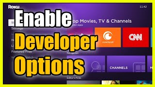 How to Enable Developer Mode for 3rd Party Apps on ROKU Device (Fast Method)