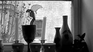 Keep it Clean by Camera Obscura