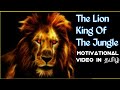 சிங்கம் | The Lion | Story of The Jungle King | Motivational Video | Motivation in Tamil