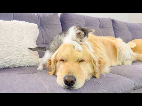 YouTube 썸네일