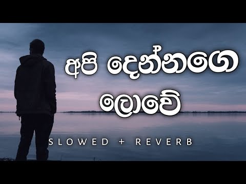 Api Dennage lowe  (අපි දෙන්නගෙ ලොවේ )  Slowed & Reverb