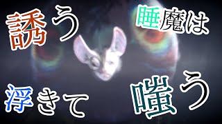 【実況】空中戦という名の睡眠耐性【モンスターハンターワールド：アイスボーン】