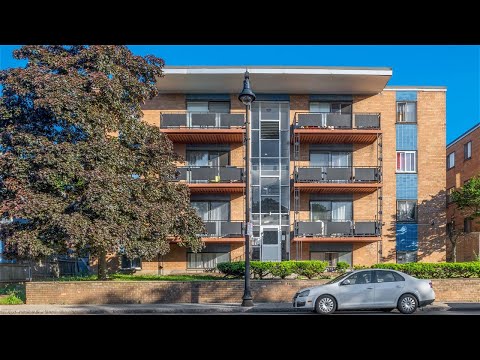 1045 River St. — Hyde Park