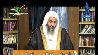 منوعات 193 هذا هدي الحكمة 7 7 2010