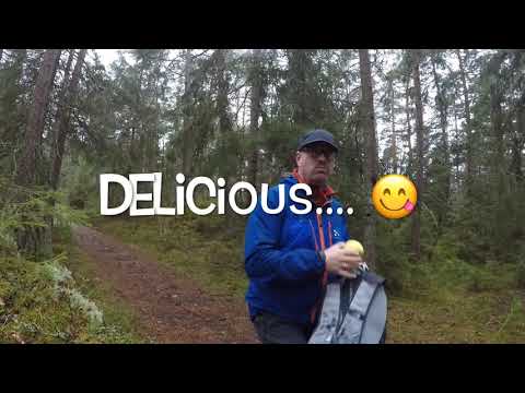 Roundtrip Femdal over Lunderamsa, Kråkerøy, Fredrikstad, Norway