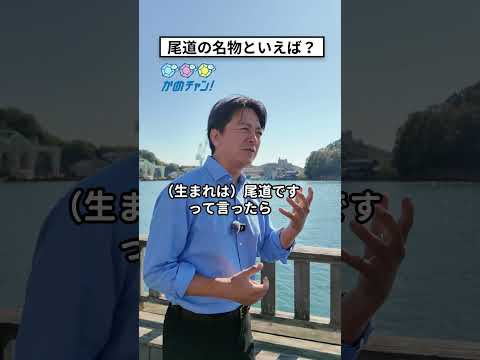 #尾道　#尾道ラーメン　#かめだ年保 #かめチャン  #尾道観光大使