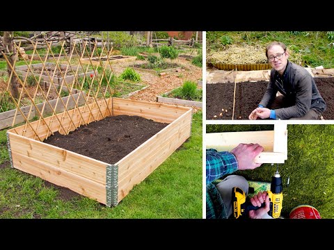 Tomato Growing Masterclass My Blueprint to Success Every Time