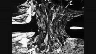 Rudimentary Peni Cosmic Hearse anarcho hardcore punk