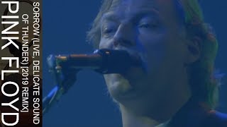 Pink Floyd - Sorrow (Live, Delicate Sound Of Thunder) [2019 Remix]