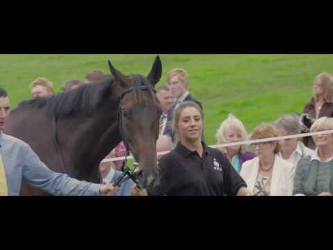 Paul Nicholls Open Day 2016 - PART 4