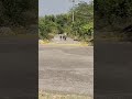 झाले में सुअर पकड़ा वा Jhale Me Suar Pakda Are Wa