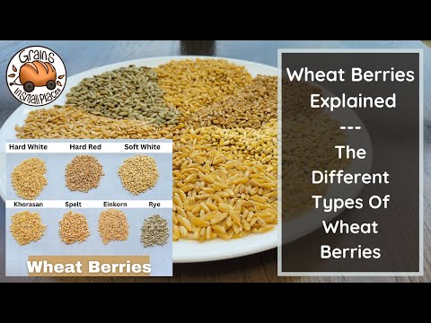 MASTERCLASS: The Wheat Berry Explained | The Different Types Of Wheat Berries